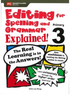 Editing for Spelling and Grammar Explained! P3