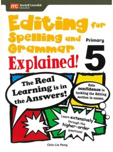 Editing for Spelling and Grammar Explained! P4