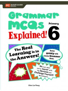 Editing for Spelling and Grammar Explained! P6