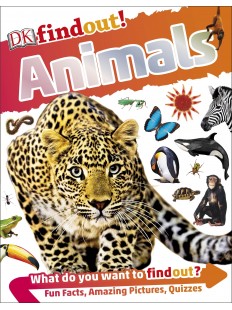 DKfindout! Animals