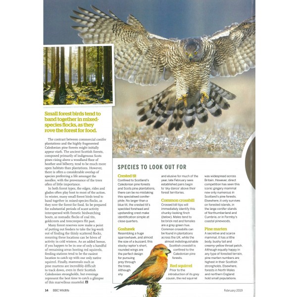 Magazine Subscription