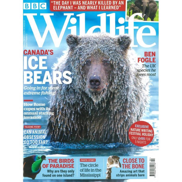 Magazine Subscription