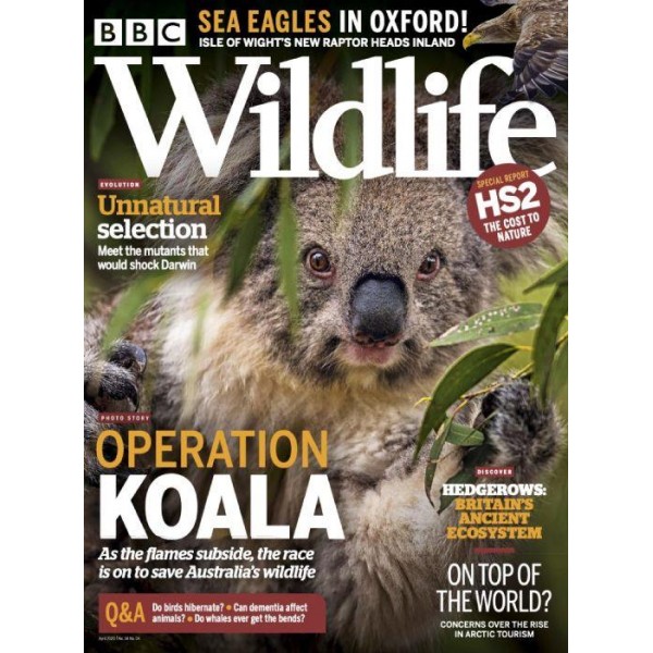 Magazine Subscription