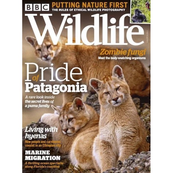 Magazine Subscription