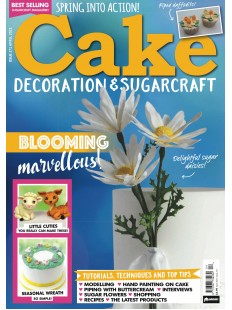 CAKE DECORATION & SUGARCRAFT