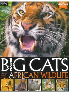 Big Cats and African WildLife