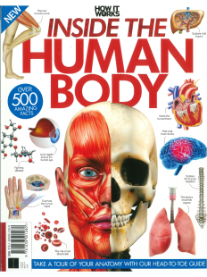 INSIDE THE HUMAN BODY