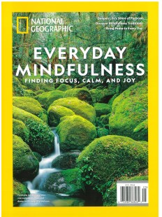 Everyday Mindfulness finding focus , calm and joy