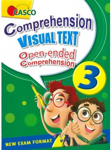 Comprehension Visual Text Open-Ended 3