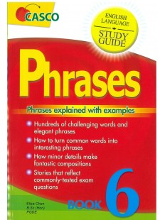 Phrases explained with examples 6